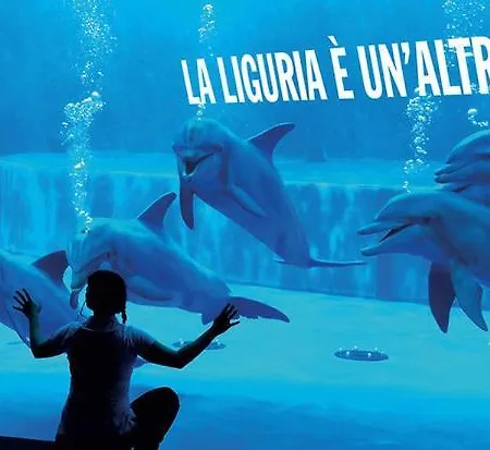 Acquario House